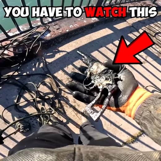 How Many Of Them Are There!?🤯😱 | Motor CIty Magnet Fishers