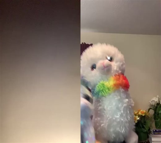 #duet with @llama071 my unicorns￼