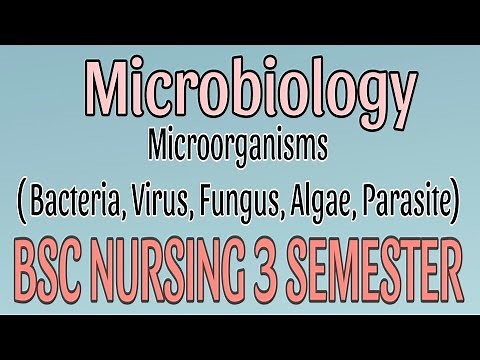 "Microorganisms in Detail! 💥 Microbiology for BSc Nursing 3rd Semester Exams!"
