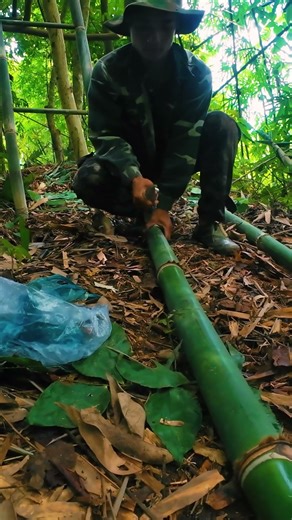 Documenting My Entire Survival Process in Real Time