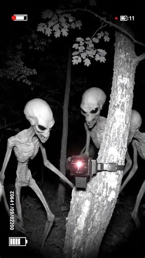 TRAIL CAM Captures Pack of Aliens Hunting