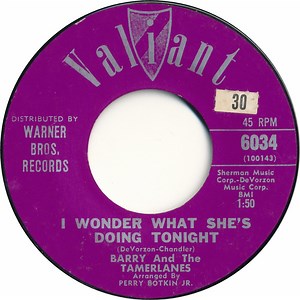 Barry And The Tamerlanes - I Wonder What She's Doing Tonight