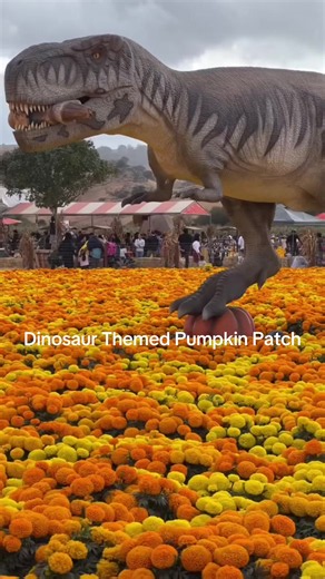 Morgan Hill Spina Pumpkin Patch — Dinosaur Themed Pumpkin Patch