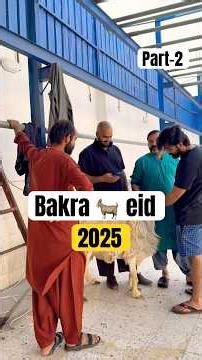 Bakra eid 2025 part-2 🐐🔪🇸🇦 #vlog #minivlog #shortvideo