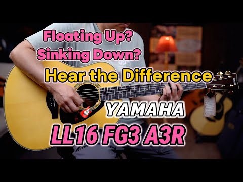Can You Hear the Difference? Yamaha LL16 vs A3R — Plus the FG3 Joins the Battle!