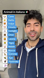 Different animals in italian 🇮🇹 #learnitalian #italian | Italianteachertony