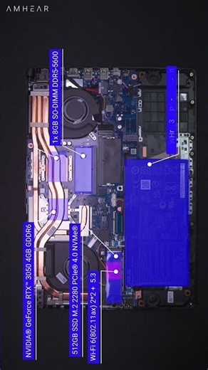 Asus TUF Gaming A15 FA506NCG R735B1T HM | Upgrade Options | Shorts