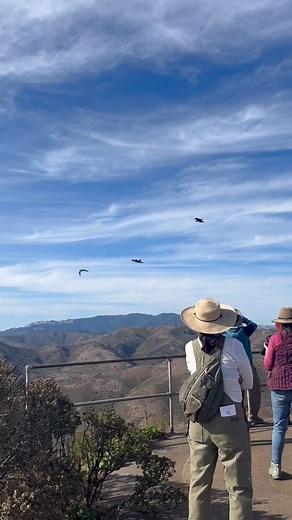 Hawk Hill is a historic raptor observation destination perched atop the Marin Headlands in the #GGNRA. On a clear day, visitors can see sparkling, 360-degree views of the Bay, San Francisco, and Fort Cronkhite. During fall raptor migration, volunteers and staff with our Golden Gate Raptor Observatory scan the skies for 19 different raptor species. Just last week, two bald eagles were spotted soaring below Hawk Hill. Whether you're going for the scenery or a raptor sighting (or both!), a visit to