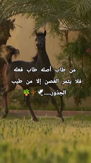 أحاسيس وشعور on Reels