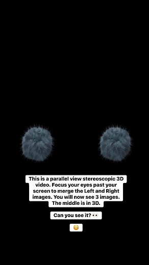 Flutter This is a parallel view stereoscopic 3D video. Focus your eyes past your screen to merge the Left and Right images. You will now see 3 images. The middle is in 3D.Can you see it? 👀😳 | Ben Greenberg