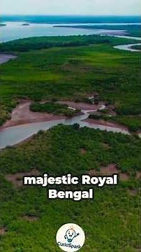 Stunning Facts About the World’s Largest Delta | #didyouknow #foryou #sundarban #delta #largest