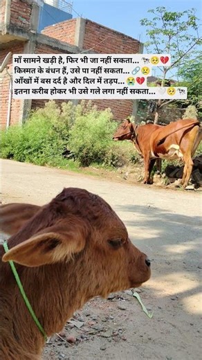 माँ सामने खड़ी है… फिर भी दूर 💔🥺 | Emotional Shayari