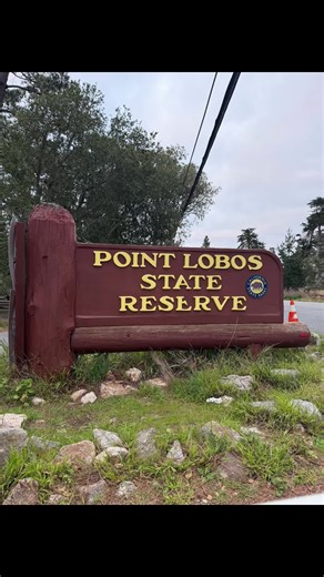 First Hike of the Year in Monterey's Scenic Ocean Views