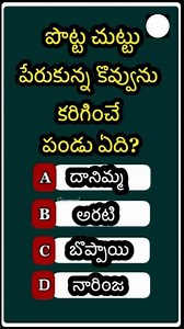 Interesting Questions in Telugu | General Knowledge in Telugu | Telugu Quiz | Unknown Facts | #gk
