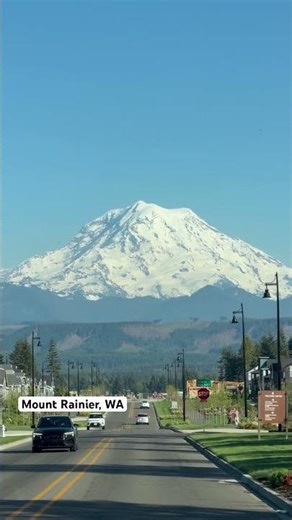 Beautiful Mount Rainier 🏔️ #nature #washingtonstate #spring