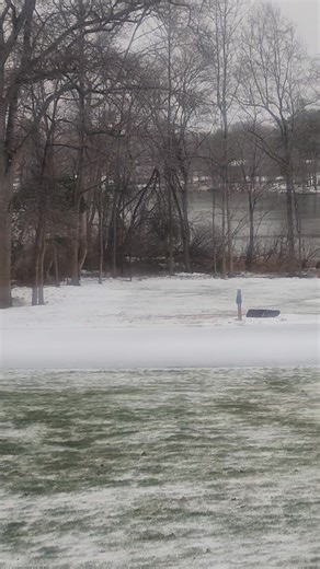 And now for the icing on the...everything Soon as i stopped the video i heard a huge tree branch crack somewhere | Tim McNamara