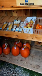 #Happy #Friday!! It’s race weekend and we are stocked at Boone Boy Farms. #Shoplocsl #helpthelittlepeople | Daniel Tabitha Boone