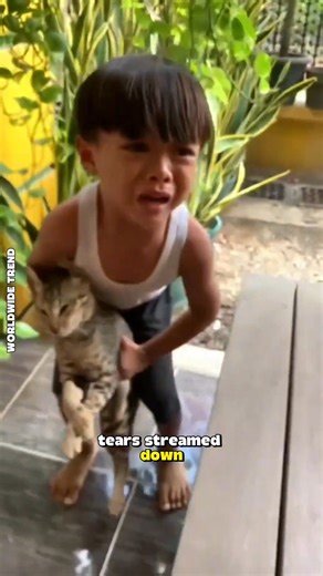 When His Cat Died, His World Fell Silent 😭 #CatLovers #HeartbreakingStory #EmotionalVideo #PetLoss #GoneButNotForgotten #CatLove #SadMoments #RealLifeStories #AnimalsAreFamily #ForeverInMyHeart #CryWithMe #InspirationalStory #LoveNeverDies #CatMemories #ReelStory | Worldwide Trend