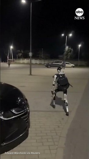 Humanoid robot chasing wild boars in Poland goes viral