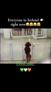 11K views · 429 reactions | Everyone in Ireland  today after seeing the news  . . Covid-19 Update from tomorrow; *8pm closing rule for pubs & restaurants removed *Nightclubs to reopen *Full attendance for indoor & outdoors *Covid pass requirement for hospitality removed Have fun everyone❤️珞☘️ #restrictionsarelifting #ireland #irish #havefun #stayhappy #news #cork | Cork Daily | Facebook