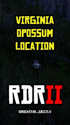 RDR 2 - My Favorite Virginia Opossum Location #rdr2 #shorts