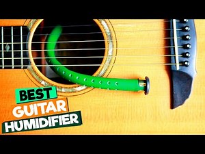Best Guitar Humidifiers for Acoustic Guitars: Reviews and Recommendations