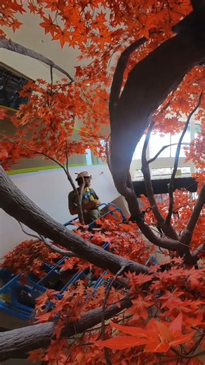 In 2025, we got to build a massive floating tree - a stunning Japanese maple suspended in mid-air. We’re thrilled with how it turned out. Here’s a relaxing timelapse of Padraic adding all of the leaves (yes… tens of thousands of them!). Want an in-depth look at how we made it? Check out our full 2-part behind-the-scenes series on YouTube! click here to watch: https://youtu.be/7XTqhAiu1Vc | Rockscapes
