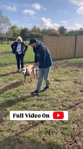 171K views · 1.2K reactions | How We Reduce Leash Pulling ! Teach the dog what the end of the lead means. #dogs #dogtraining | Southend Dog Training | Facebook