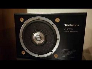 Technics SB RX30