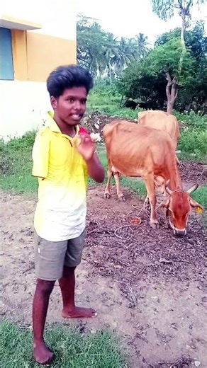 Trending pullingo comedy version 🤣 The boys maadu comedy version 🤣 #trending #funny #comedy 🤣