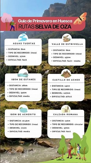 Rutas en la Selva de Oza 🥾🌿 | Guía de primavera en el Pirineo de Huesca