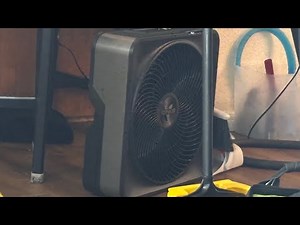 Vornado 20” Box Fan from Costco