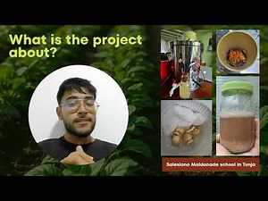 Video explicación proyecto integrador