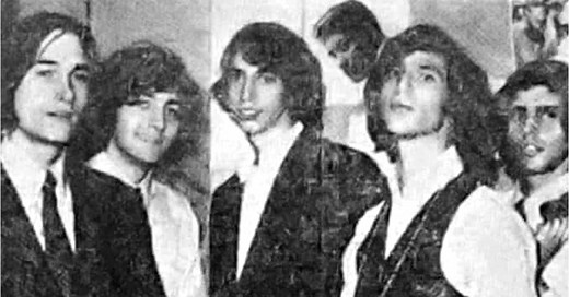 GOING FOR BAROQUE: THE LEFT BANKE STORY