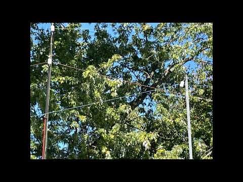 US MIL EAM (#1 on this date) Encypted Emergency Action Message 10/17/25