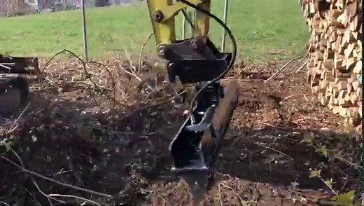 Roderechen Minibagger