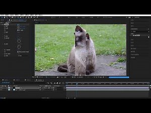1.19.图层与动画-理解AE内置的调整图层 | Adobe After Effects 2020教程