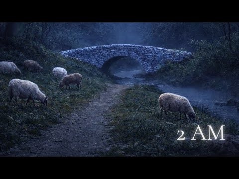 Music for Deep Sleep | Calm Sheep Symbolic Sleep Recognition | 2AM Sheep
