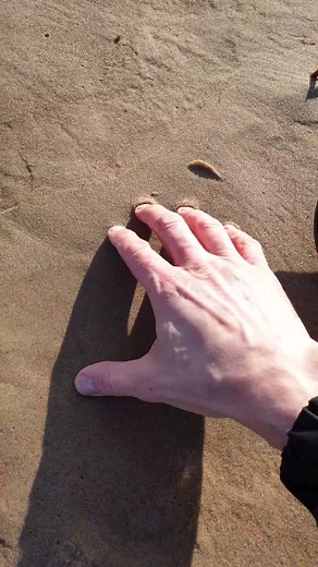 Beachcombing for Unique Treasures at the Shore