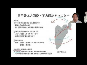 48. Master upward and downward rotation of the scapula! | All video lessons on muscle origins, in...