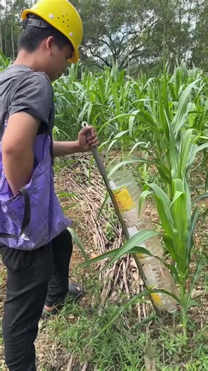 Video của Lipstick Cigar (@lipstick.cigar) với bản nhạc original sound - Lipstick Cigar