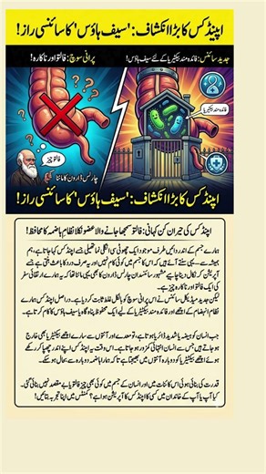 The Secret Purpose of Your Appendix (It’s NOT Useless!)