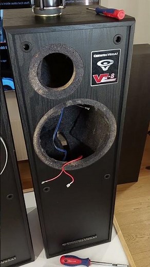 Cerwin Vega Disassembly