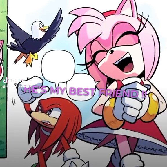 Amy and Knuckles - Best Friends Forever