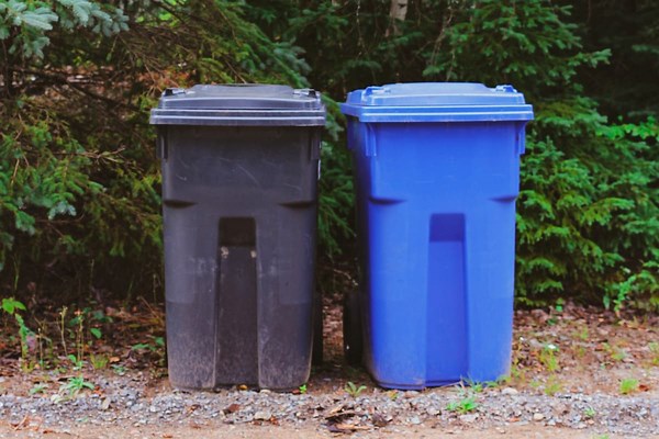 Bin changes start today as new collection schedule comes into force