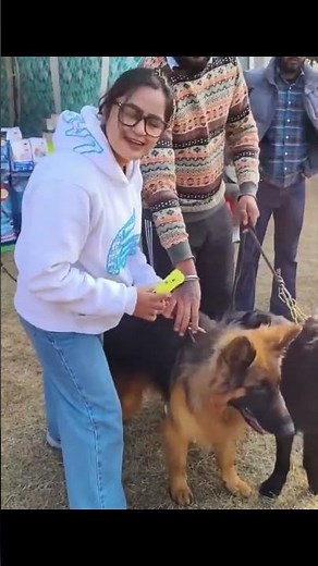 Ezzy wizzy, paws so busy 🐾✨