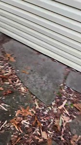 extensive termite inside a wall of a home AC&E Home Inspection (631) 205-1340 www.lihomeinspector.com #HomeInspectionsMatter #homeinspection #bestofthebest #homeinspector #homeinspectionfinds | AC&E Home Inspection Corp.