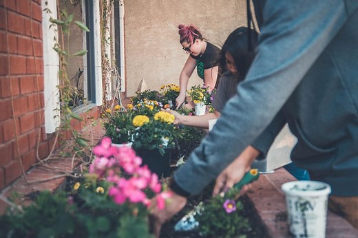 Community gardens boost well-being and biodiversity