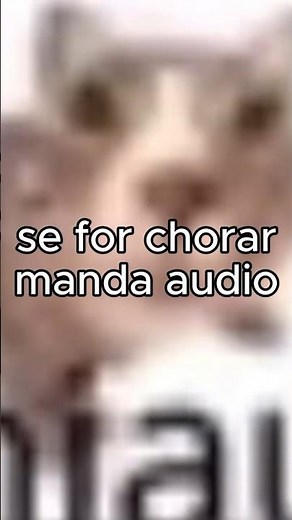 DESENHEI UM GATO PELO MEME E ELE EXPLODIU MEU COMPUTADOR