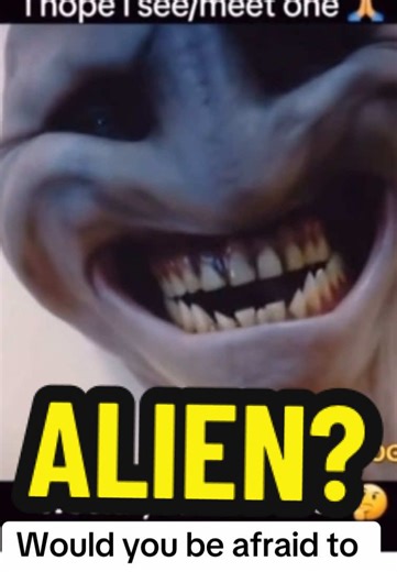 Would you be afraid of me a alien? #Alien | alien